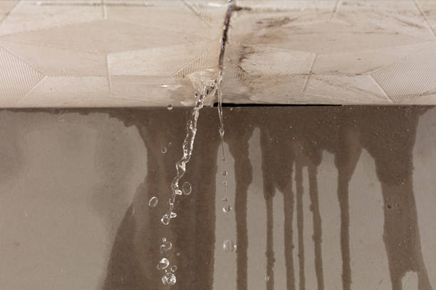 Professional Sewage Cleanup technician working in Stow, MA